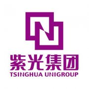 TF卡工廠 紫光國芯終止長江存儲(chǔ)股權(quán)收購